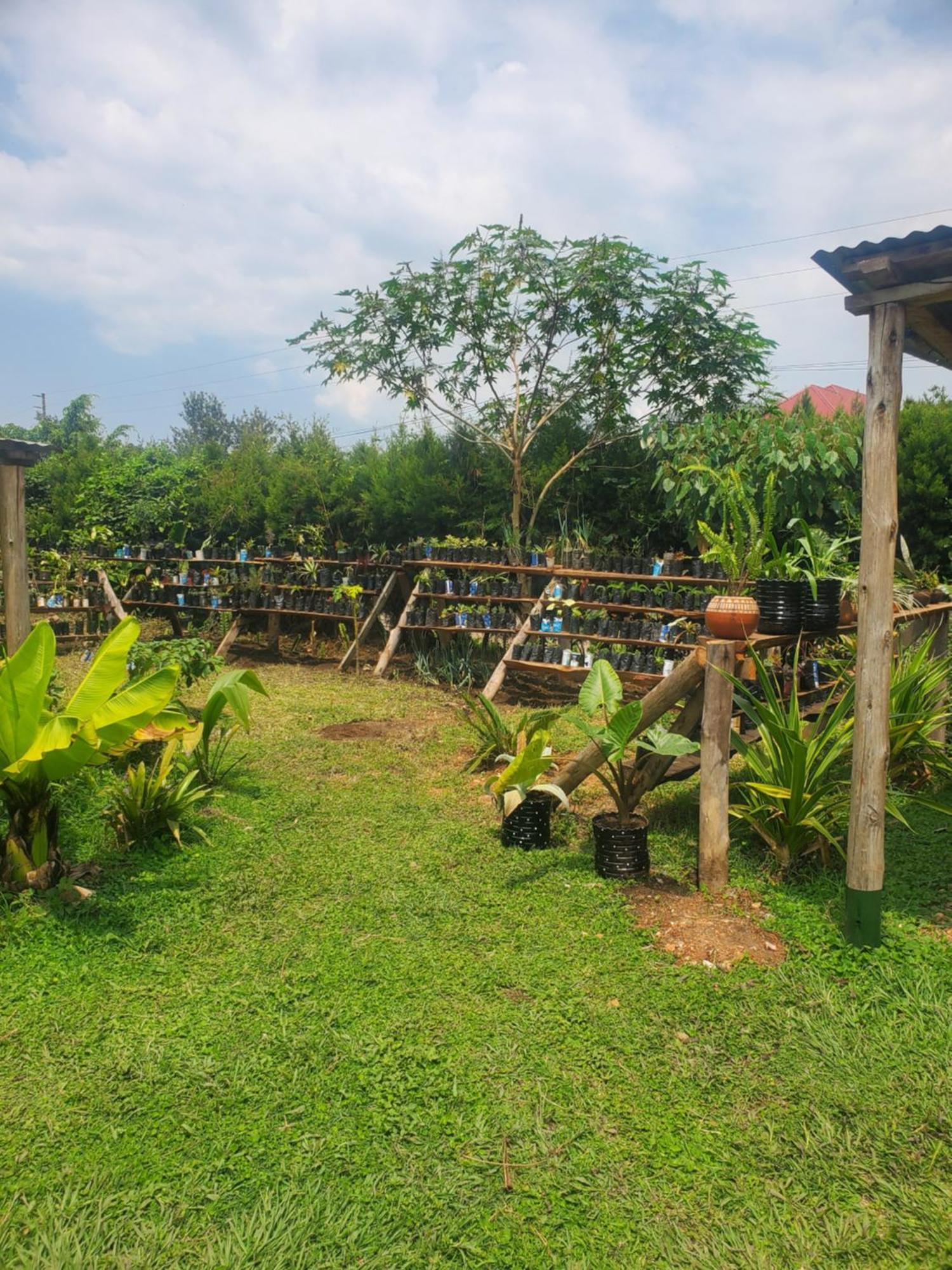 Gaia Eco Hub Bnb Bed & Breakfast Fort Portal Exterior photo