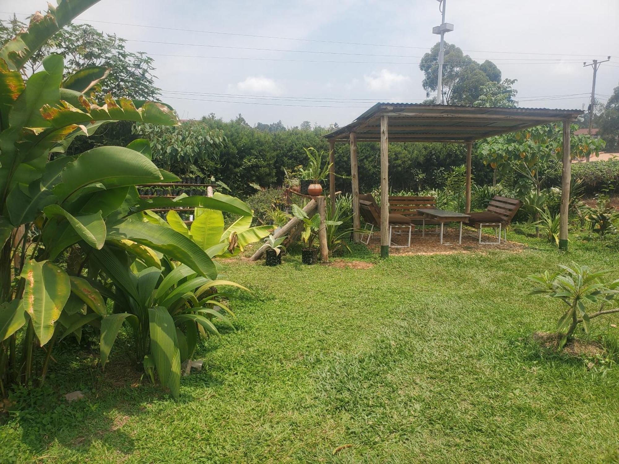 Gaia Eco Hub Bnb Fort Portal Exterior photo