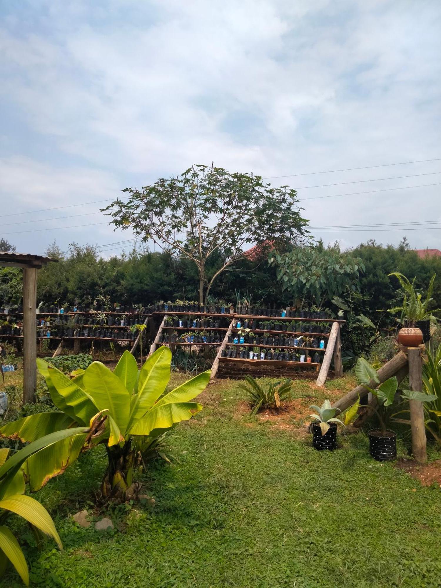 Gaia Eco Hub Bnb Fort Portal Exterior photo