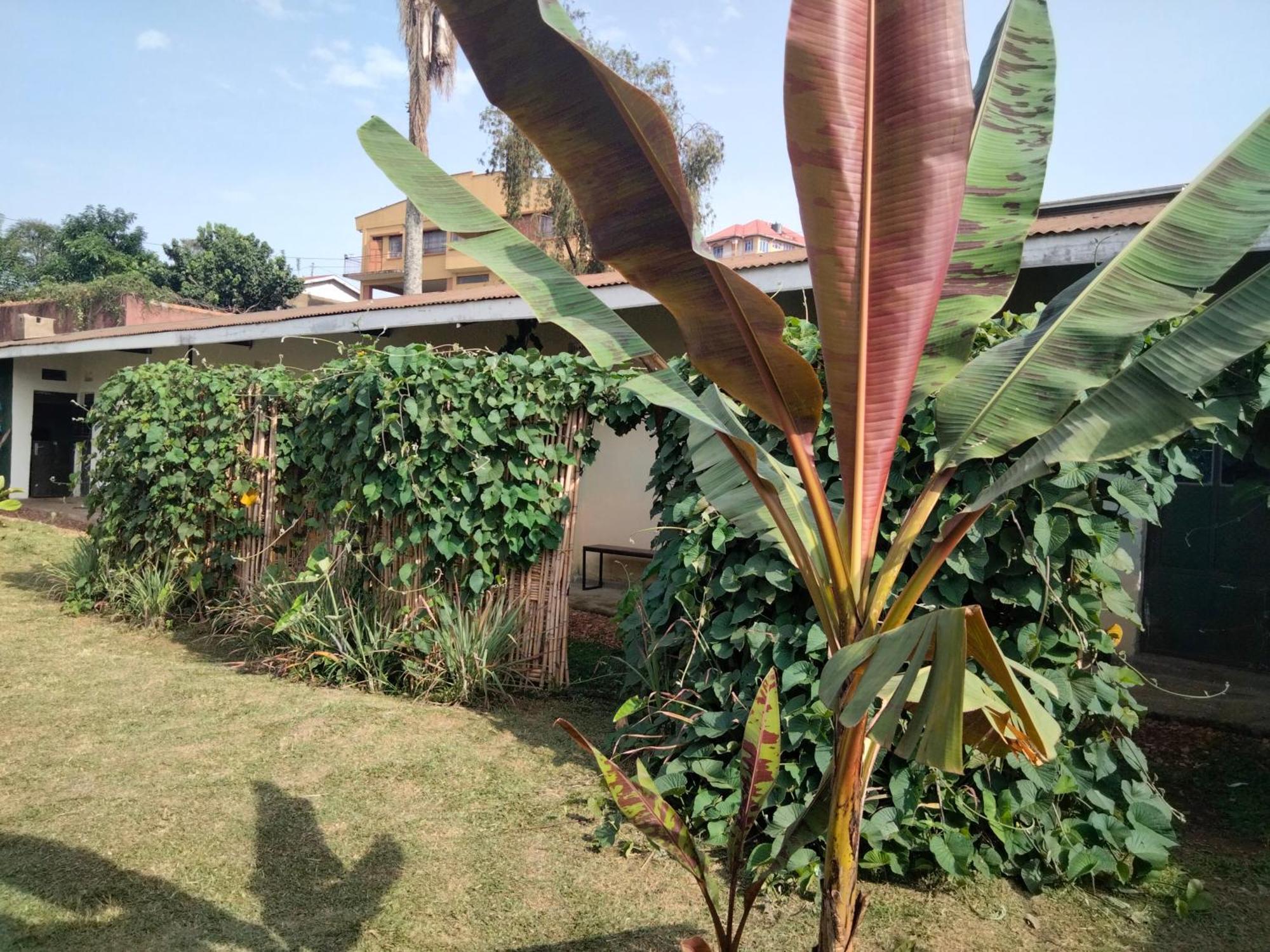 Gaia Eco Hub Bnb Fort Portal Exterior photo