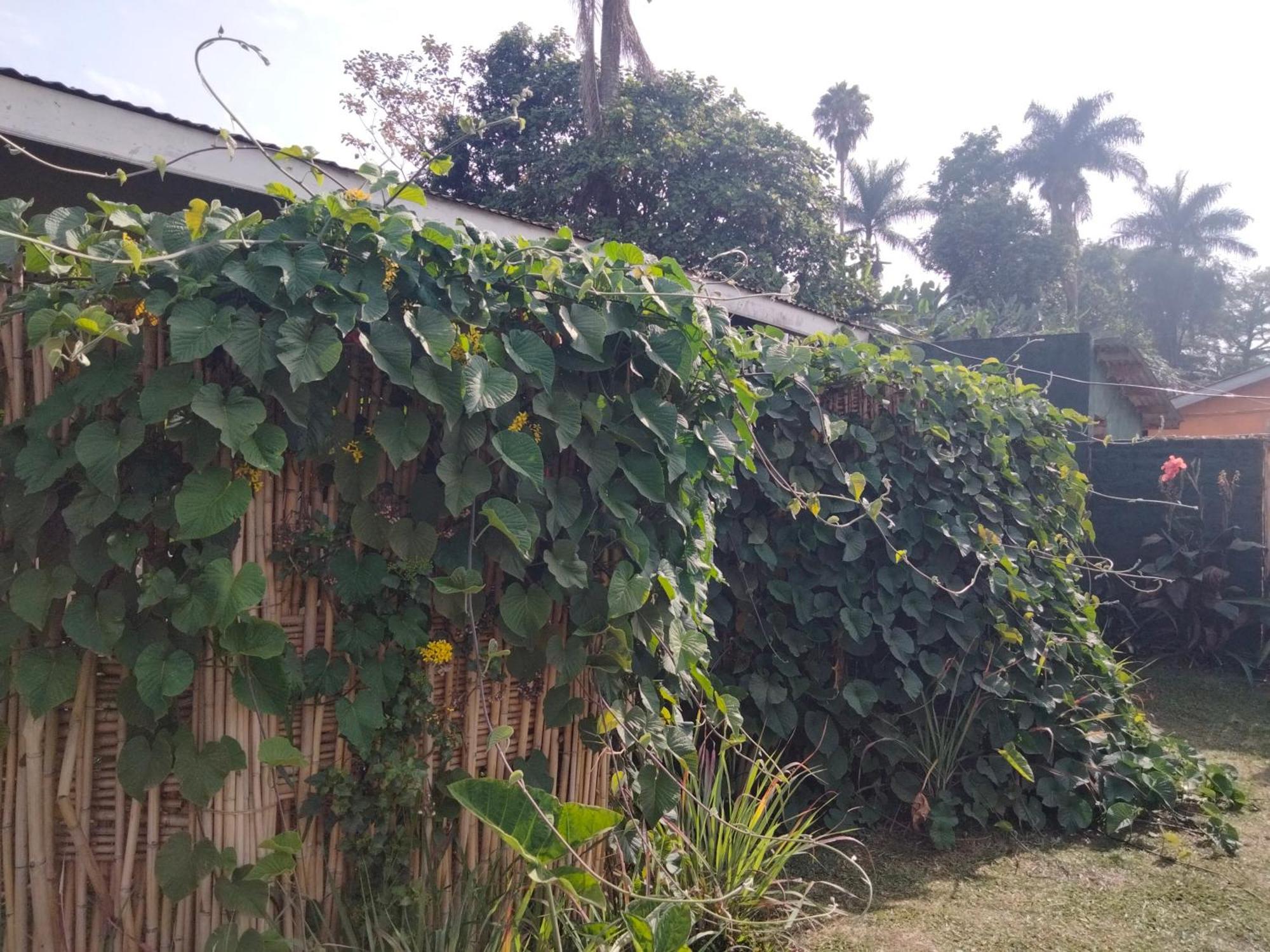 Gaia Eco Hub Bnb Bed & Breakfast Fort Portal Exterior photo