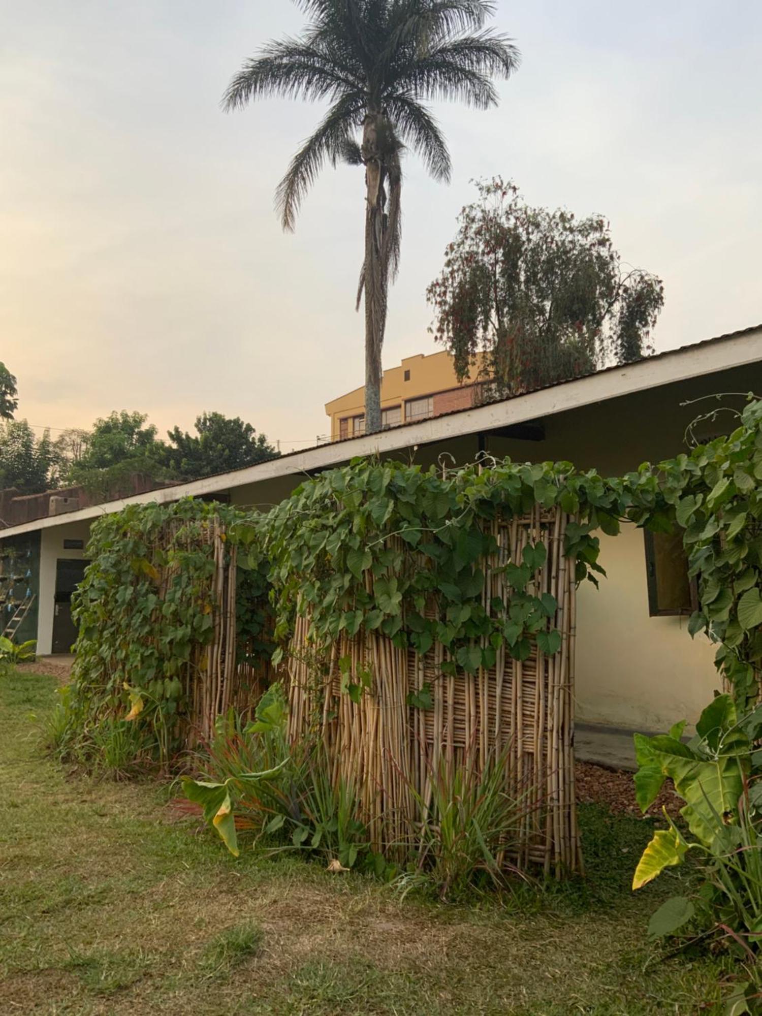 Gaia Eco Hub Bnb Bed & Breakfast Fort Portal Exterior photo